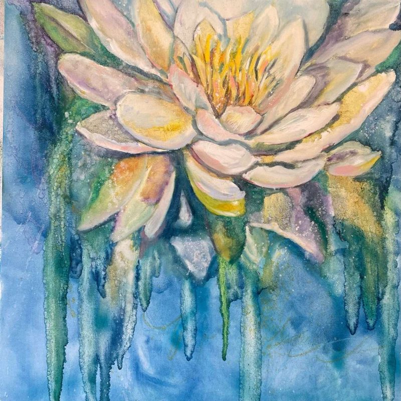 The Beauty of Water Lilies