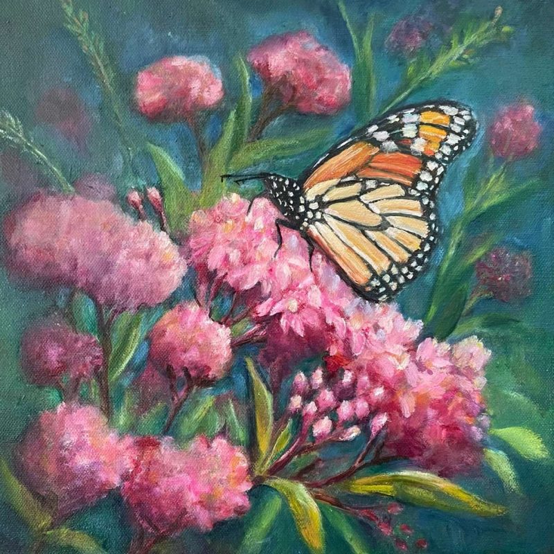 Butterfly Moments