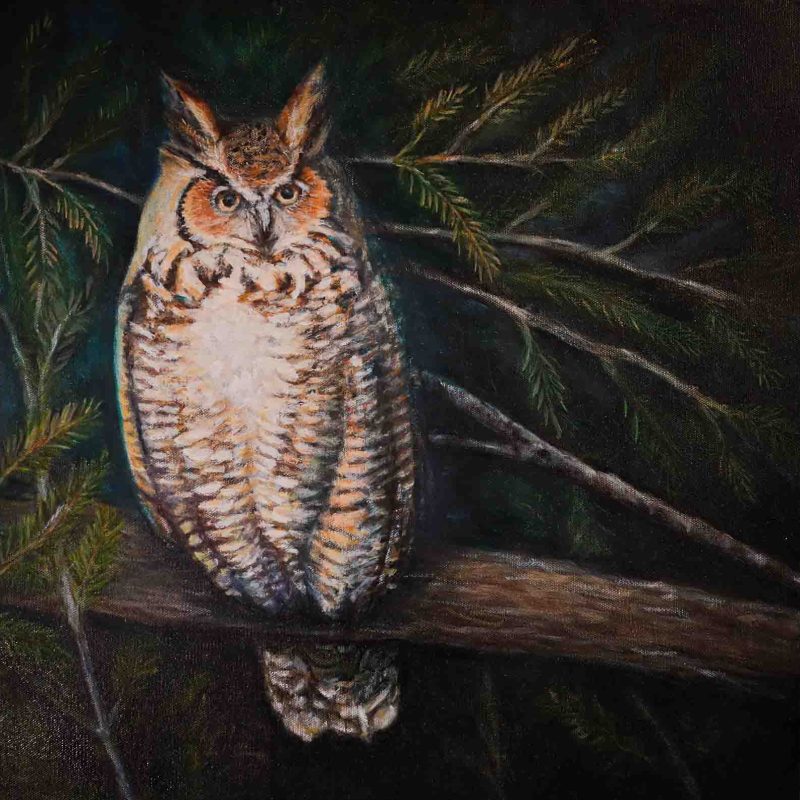 Wisdom in the Night