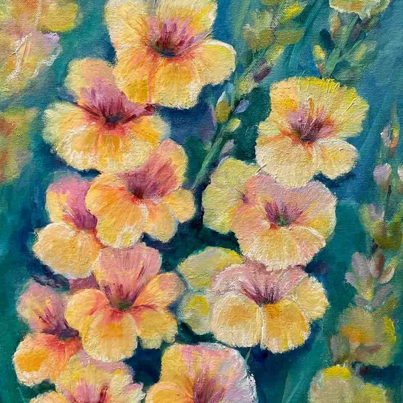 Radiant Gladiolus