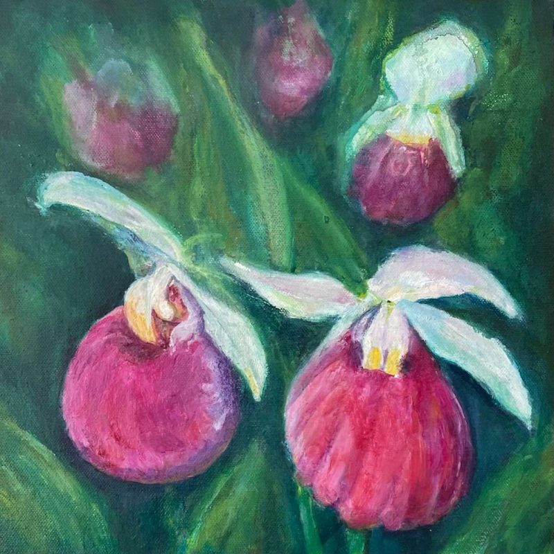 The Lady Slipper
