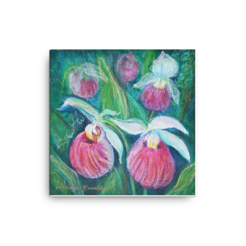The Lady Slipper 12"x12"